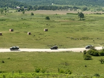 Picture 10